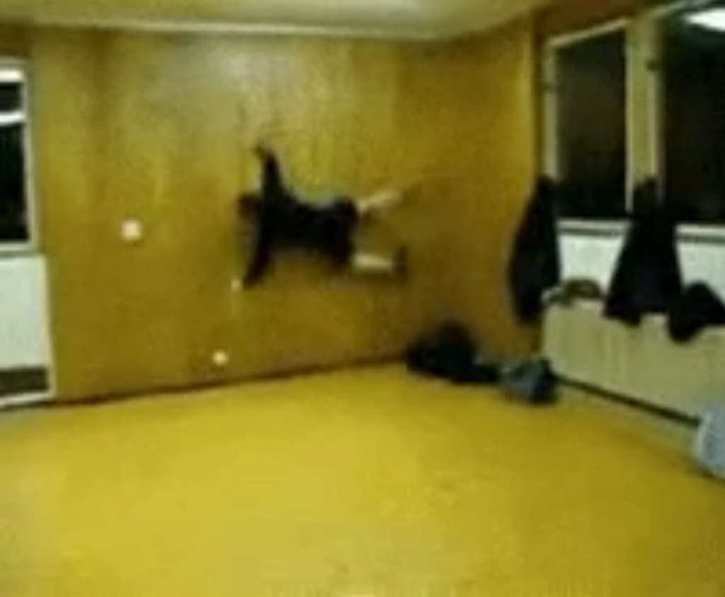 Cover Image for Long File Paths and SitecoreAI Deployments