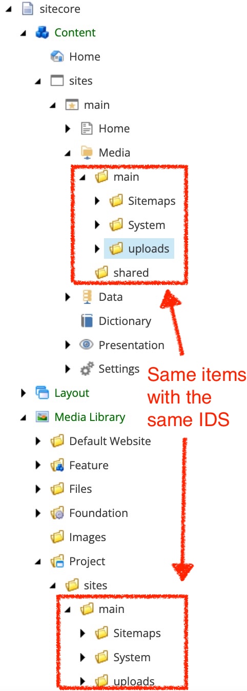 Media library symlinks with same IDs