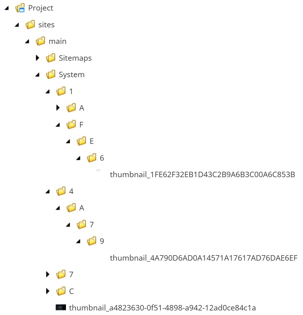 SXA Media Library Items